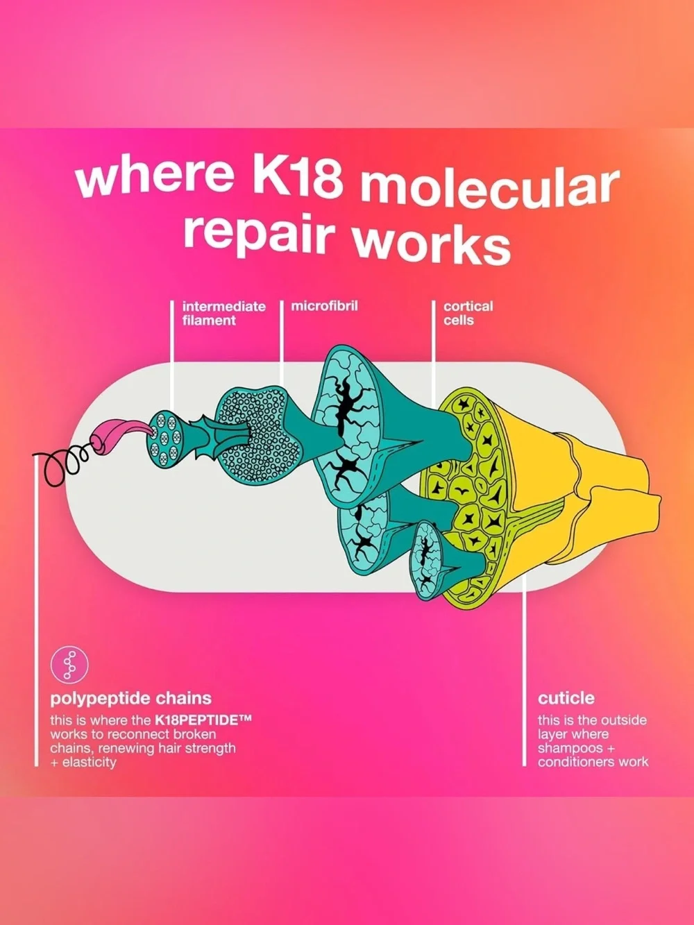 K18 leave molecular